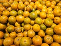 Close-up pile of Fresh oranges fruit (Sai Nam Phueng) or Tangerine orange in Thailand Royalty Free Stock Photo