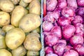 Close-up pile of fresh white potatoes and red shallot onions at farmer market in Singapore Royalty Free Stock Photo