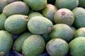 Close up on pile of freshly picked avacados for sale at farmer\'s market