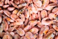 Close-up of a pile of frozen pink shrimps. Natural pink seafood background