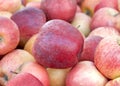 Close up on pile of Gala Apples piled displayed for sale Royalty Free Stock Photo