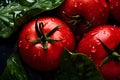 Close up of pile of juicy fresh tomatoes with leaves Royalty Free Stock Photo