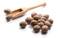 Close-up of pile of nutmeg seeds spice in a wooden spoon on whit