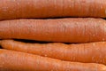 Close-up of a pile of orange carrots in a market