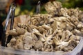 Pile of oyster mushrooms in display at market