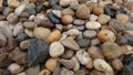 A close-up of a pile of pebbles