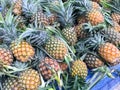 Close up of pile of pineapple