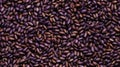 Close-up of a pile of purple beans, Food background