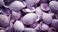 Close-up of a pile of purple shells. Monochrome background
