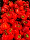 Close up of pile red fresh raw bell peppers on german farmers market Royalty Free Stock Photo