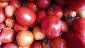 Close-up of a pile of red tomatoes Royalty Free Stock Photo