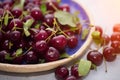 Close up of pile of ripe cherries with stalks and leaves. Royalty Free Stock Photo