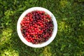 Close up of ripe cherries with stalks and leaves. Royalty Free Stock Photo