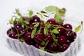 Close up of pile of ripe cherries with stalks and leaves on white background Royalty Free Stock Photo