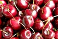 Close up of pile of ripe dark red cherrie Royalty Free Stock Photo