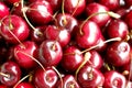 Close up of pile of ripe dark red cherries Royalty Free Stock Photo