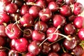 Close up of pile of ripe dark red cherries Royalty Free Stock Photo