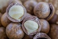 Close up pile ripe macadamia nut.