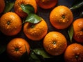 Close up of pile of ripe oranges with stalks and leaves.