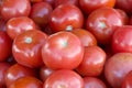 Close up on pile of ripe red tomatoes on the vine piled for sale at Farmer\'s Market Royalty Free Stock Photo