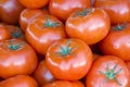 Close up on pile of freshly picked tomatoes on display at farmers market Royalty Free Stock Photo
