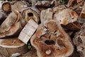 Close up of a pile of sawn logs ready to be used as winter firewood