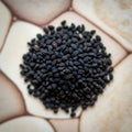 A close up of a pile of seeds on a tile floor (ai generated) Royalty Free Stock Photo