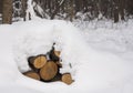 Close-up of pile of snow covered timber logs Royalty Free Stock Photo