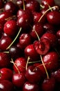 Close up of pile of sweet red cherries with stalks and leaves. Large collection of fresh red cherries. Ripe cherries background. Royalty Free Stock Photo