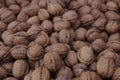 Close-up of a pile of unpeeled walnuts Royalty Free Stock Photo