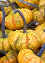 Close up on pile of warty pumpkins Royalty Free Stock Photo