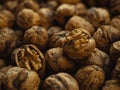 Walnut Abundance Royalty Free Stock Photo
