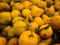 Close-up pile of withered and damaged oranges fruit Royalty Free Stock Photo