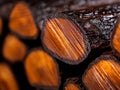 A close up of a pile of wood logs Royalty Free Stock Photo