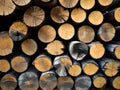 close up pile of wooden logs, Ai generated