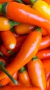 Close up pile of yellow chilies