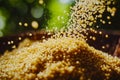 A close up of a pile of yellow quinoa in a bowl Royalty Free Stock Photo