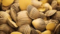 Close-up of a pile of yellow shells