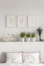 Close-up of pillows with flowers, bike and plants on a shelf and