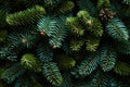 A close up of pine cones and branches background pattern