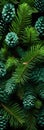 A close up of pine cones and branches background pattern