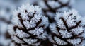 Exemplifies the beauty of winter and the intricate design of Royalty Free Stock Photo
