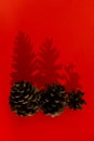 Close-up pine cones on red background. The falling shadow Christmas background. Creative New Year concept
