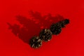 Close-up pine cones on red background. The falling shadow Christmas background. Creative New Year concept