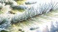 a close up of a pine tree branch