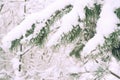 Close up of pine tree branch in the snow. Winter nature background. Soft selective focus. Vintage toned photo