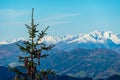 Grebenzen - Close up on pine tree and conifer cones with panoramic view of snow capped mountain ridges of Woelzer Tauern Royalty Free Stock Photo