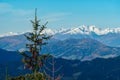 Grebenzen - Close up on pine tree and conifer cones with panoramic view of snow capped mountain ridges of Woelzer Tauern Royalty Free Stock Photo