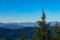 Grebenzen - Close up on pine tree and conifer cones with panoramic view of snow capped mountain ridges of Woelzer Tauern Royalty Free Stock Photo