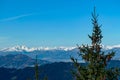 Grebenzen - Close up on pine tree and conifer cones with panoramic view of snow capped mountain ridges of Woelzer Tauern Royalty Free Stock Photo